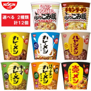 日清食品 カップライス 選べる２種類　計12個  (各6個x2種類)