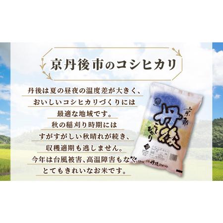 ふるさと納税 令和5年産　京都丹後産　コシヒカリ5kg（5kg×1袋） 京都府京丹後市