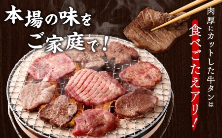 お肉の宮城堪能セット 計1.65kg　