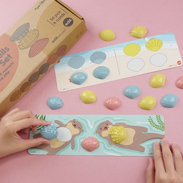 【臺灣 Edx艾迪客】探索貝殼活動組－綠材質