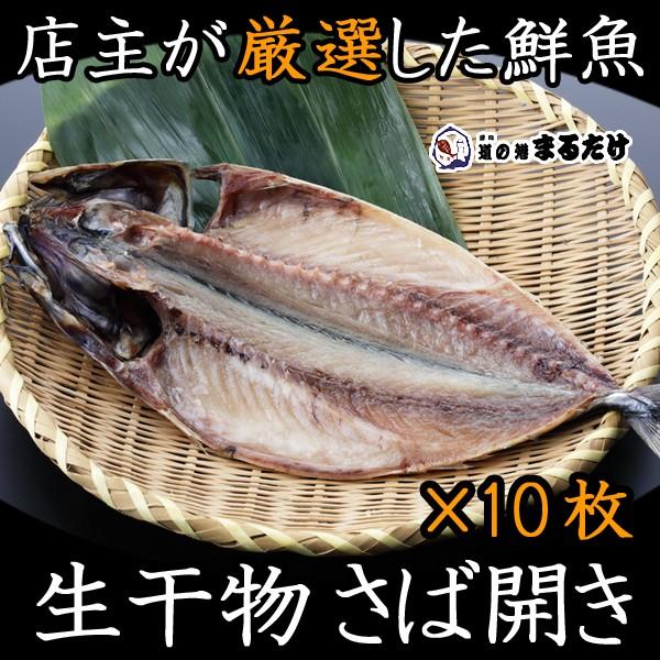 干物 詰め合わせ さば開き 10枚 干物セット ノルウェー産 鯖 お歳暮 ギフト 御歳暮