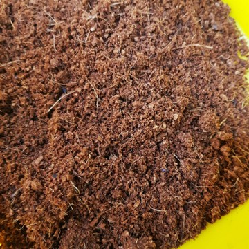 P老闆園藝~椰土 椰纖土 1公斤 天然無添加 爬蟲 底材 角蛙 昆蟲 寄居蟹 多肉植物 細椰殼纖維 小苗