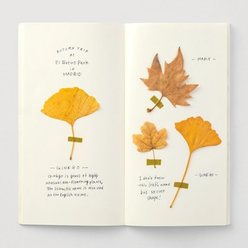 Traveler's Notebook 補充包 MD 奶油紙 025