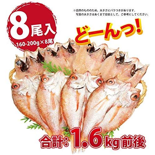 ギフト のどぐろ 干物 国産 1枚約160-200g前後×8尾 越前仕立て プレゼント ギフト 越前宝や