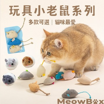 MEOWBOX. 貓咪最愛小老鼠 台北出貨 內含貓薄荷 多種款式 毛絨老鼠 耐抓耐咬 逗貓老鼠 啃咬玩具 逗貓 貓咪玩具