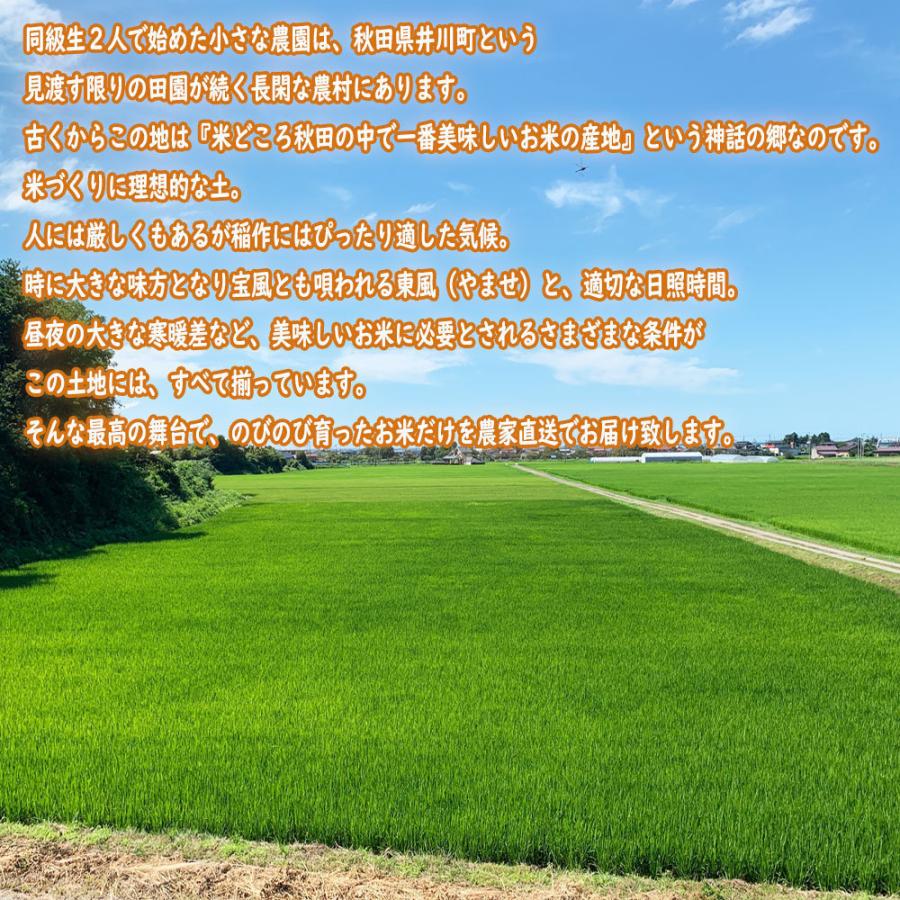 新米 米 お米 米10kg （5kg×2袋） 無洗米 あきたこまち 令和5年産 秋田県産 農家直送 御縁米（縁結び）150g付き