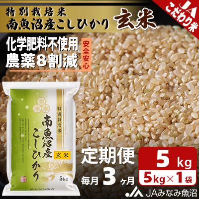 ふるさと納税 南魚沼市 特別栽培米南魚沼産こしひかり8割減 玄米 5kg全3回