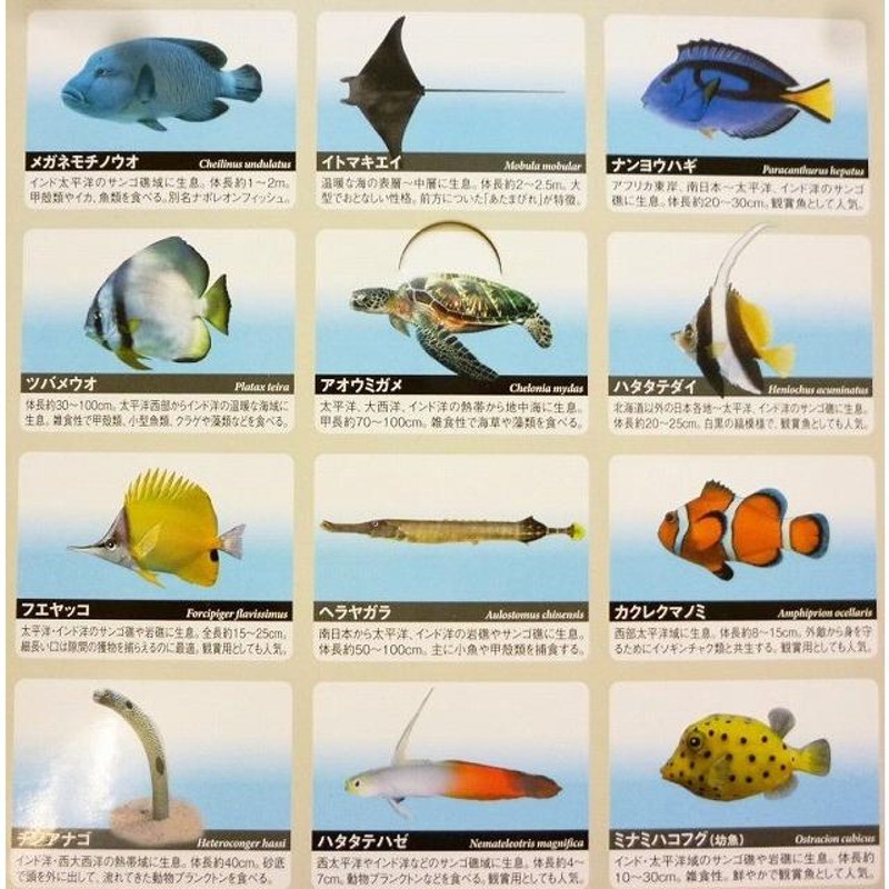 立体海洋生物図鑑 Vol.1 海の生き物 12類種 リアルフィギュア 送料無料