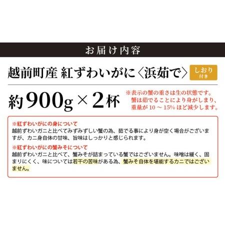 ふるさと納税 越前がに本場の越前町からお届け！浜茹で紅ずわいがに 約900g × 2杯 食べ方しおり付【かに カニ 蟹 紅ズワイ ズワイガニ ずわ.. 福井県越前町