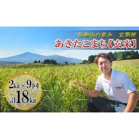 ふるさと納税 《定期便》2kg×9ヶ月 鳥海山の恵み！秋田県産 あきたこまち ひの米（玄米）計18kg（2kg×9回連続） 秋田県にかほ市