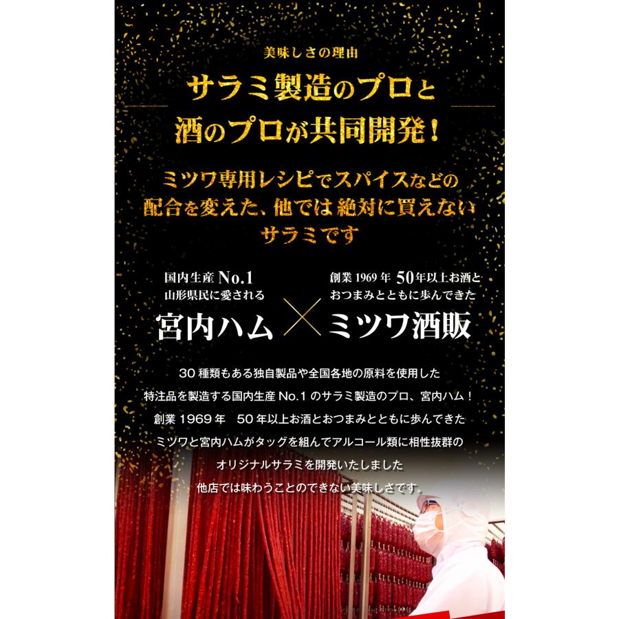 サラミ 訳あり 1000円 ポッキリ 宮内ハム 訳あり プレミアムサラミ 送料無料 サラミソーセージ おつまみ珍味 サラミソーセージとは サラミ高級