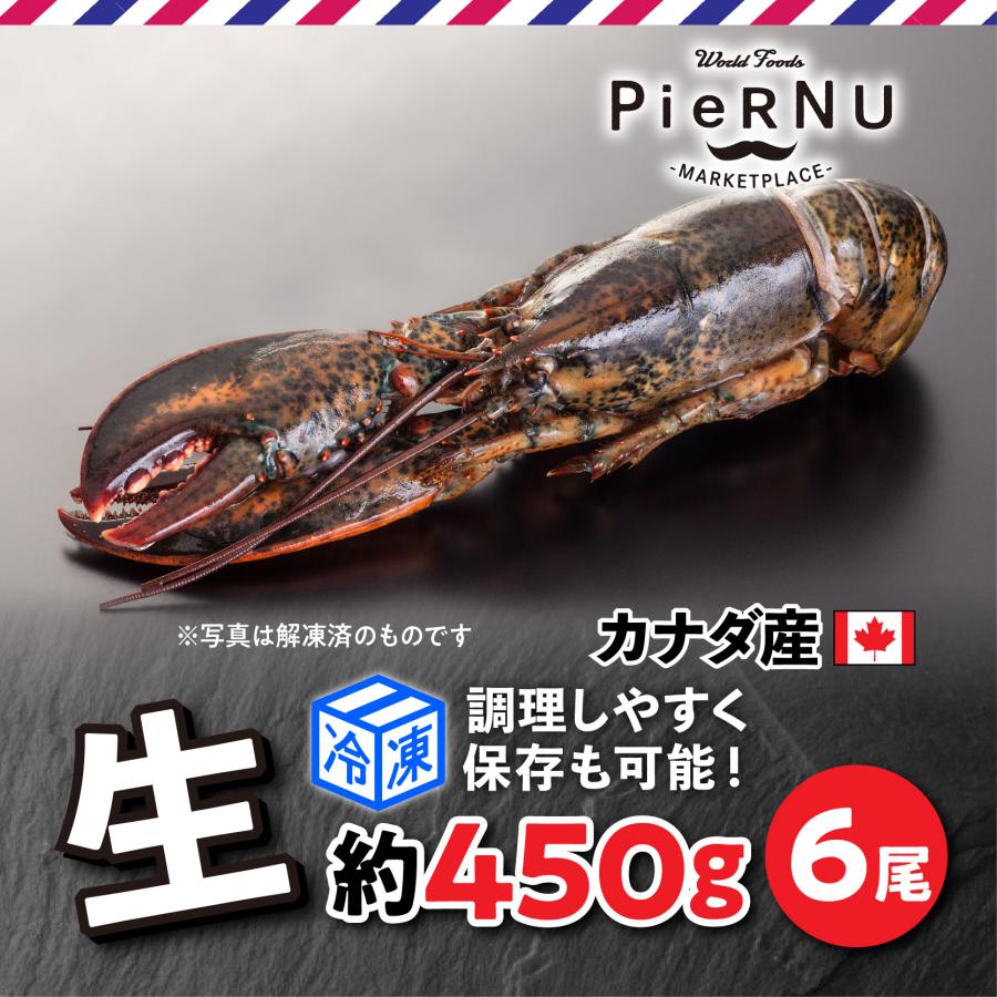 生オマール海老（カナダ産）　6尾(約450g×6）