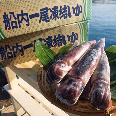 ふるさと納税 能登町 いか刺し80g×4パック