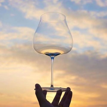 Sensory同款_勃艮第杯_Baralo紅酒杯_超薄細杠超好看的酒杯