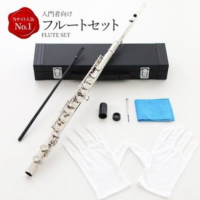 新品 未使用 送料無料 フルート 白銅製 初心者向け 学生 練習用 入門セット r400