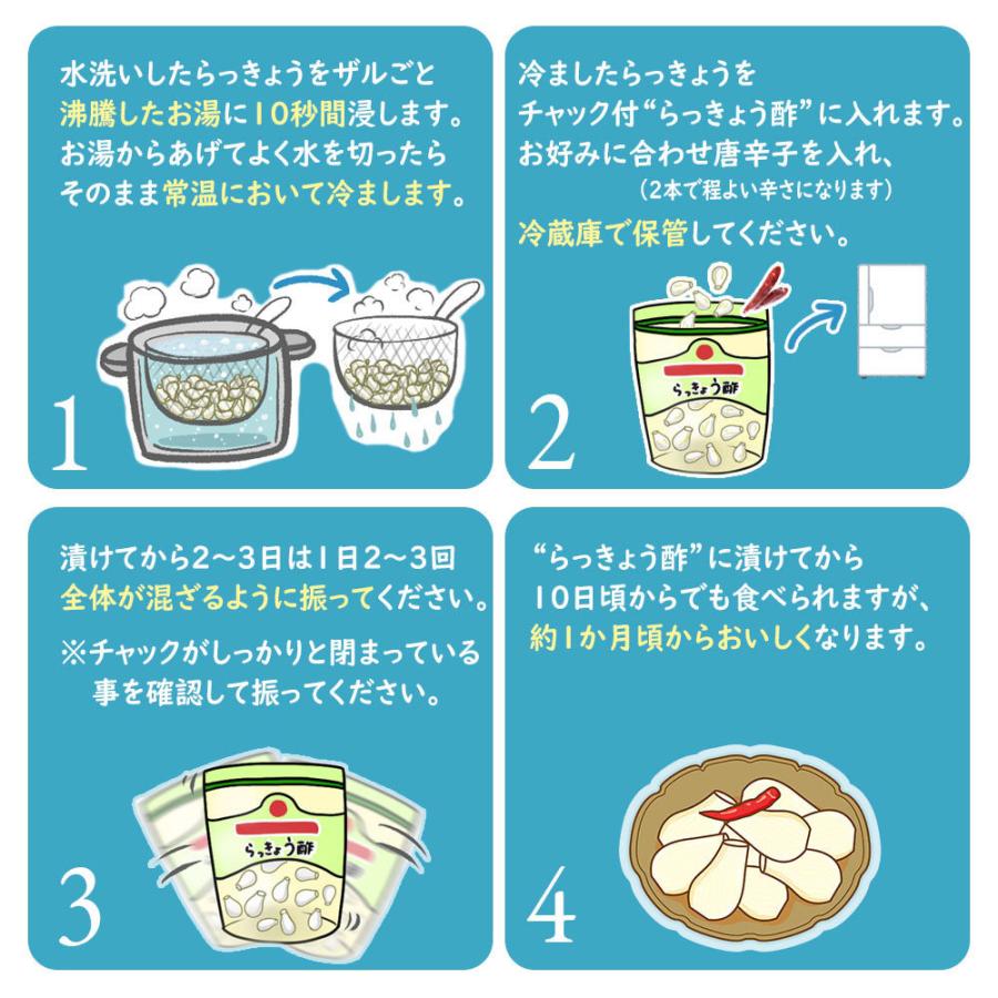 漬け初心者 3点セット らっきょう 芽止め塩漬け 1kgＳ-Ｍサイズ らっきょう酢700ml袋タイプ 鷹の爪2本　 本場福部ふくべ産 山根さんの砂丘らっきょう 冷蔵