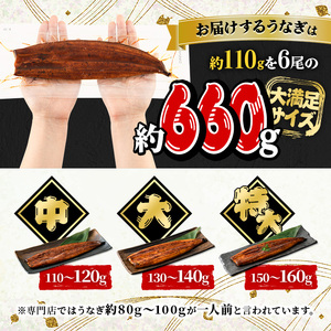 鹿児島県産 うなぎ蒲焼 中 6尾セット 鰻蒲焼 計約660g(約110g×6尾) タレ・山椒付き 鰻 ウナギ 国産B145