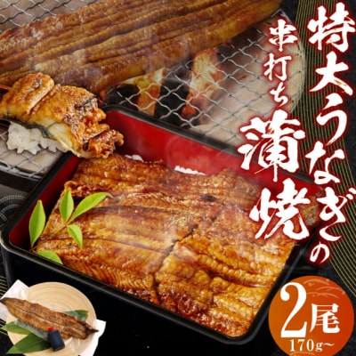 国内産特々大うなぎの串打ち蒲焼(2尾)