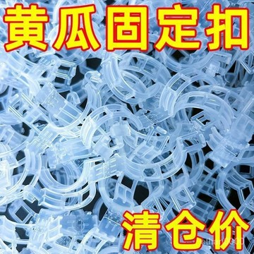 🔥臺灣發🔥藤曼固定器 綠植固定器 黃瓜固定 西紅柿 豆角 卡扣 大全 固定器 綠植 蔬菜捆綁 紮帶 藤蔓專用 園林工具