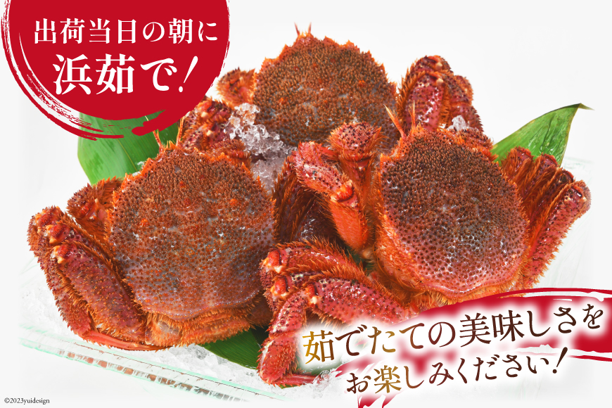 ＜先行予約＞かに 三陸産浜ゆで毛ガニ 約500g [村東商店 宮城県 気仙沼市 20562140] 冷蔵 カニ 毛がに 魚介 海鮮 毛ガニ 毛蟹 毛がに 蟹