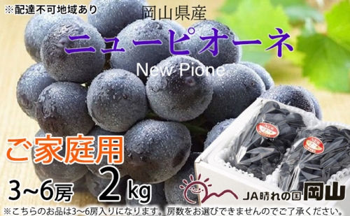 ご家庭用 ニューピオーネ 3～6房 約2kg 葡萄 ぶどう 果物 フルーツ 岡山県産 2023年