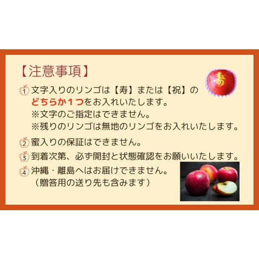 ふるさと納税 福島県 田村市  文字入り ふじりんご 3kg （約10個〜12個） 林檎 リンゴ 果物 果実 くだもの フルーツ 農家直送 減農薬 人気 …