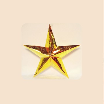 LED幻彩-星星  G-15 (全電壓)