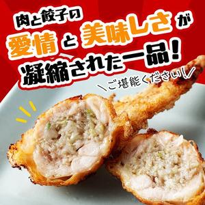 ふるさと納税 宮崎 手羽ぎょうざ 16本 1kg  宮崎県川南町