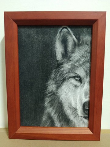 擺設 / 狼 / 炭精筆畫 / 原稿 / 含框