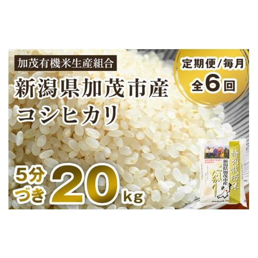 ふるさと納税 新潟県 加茂市 新潟県加茂市産 特別栽培米コシヒカリ 精米 20kg（5kg×4） 従来品種コシヒカリ 加茂有機米…