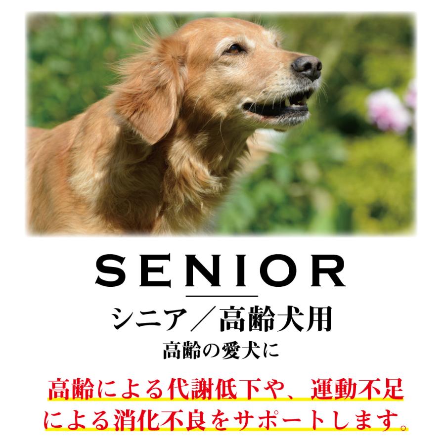 wanfoo ワンフー 犬 ドッグフード - ドッグフード