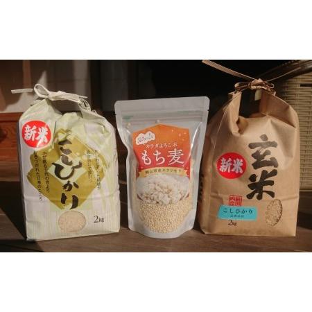 ふるさと納税 コシヒカリ精米2kg・ コシヒカリ玄米2kg・ キラリモチ精麦500g 岡山県高梁市