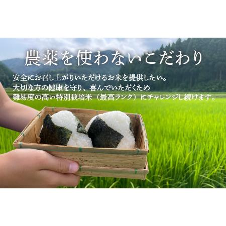 ふるさと納税 コシヒカリ 玄米 5kg 特別栽培米 化学肥料不使用  ＜温度と湿度を常時管理し新鮮米を出荷！＞   伊与.. 福井県あわら市