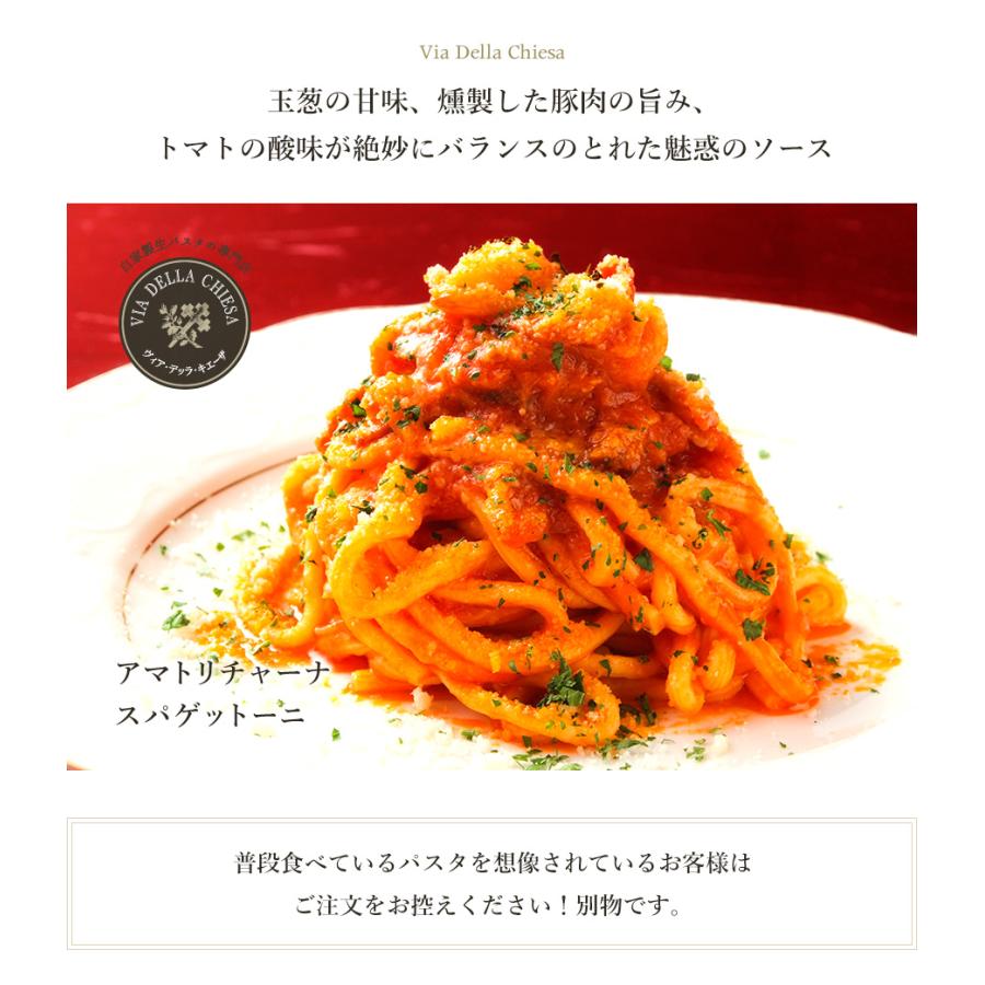 スパゲッティ スパゲティ パスタ イタリアン 料理 レトルト 玉葱 豚肉 トマトソース プレゼント ギフト 女性 オシャレ 男性 誕生日 時短 スパゲッティーニ