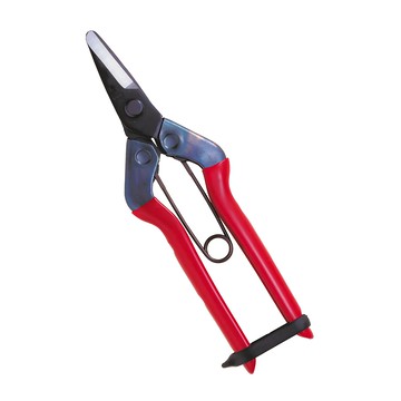 CHIKAMASA 近正 大型採果鋏 S-600 適用於柑橘、柿子、蔬菜的收穫  1支