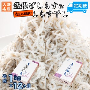 釜揚げしらす しらす干し 交互 定期便 (1kg×12か月) 天然 ふっくら