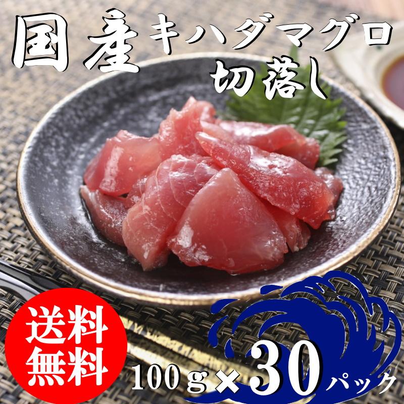 （送料無料）国産マグロ切落し（上）　100ｇ×30パックセット　キハダマグロ　配送不可地域あり　きはだまぐろ　代引き不可