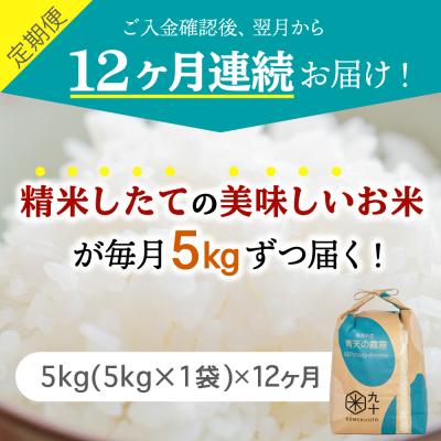 ふるさと納税 五所川原市  米 青天の霹靂 5kg 青森県産 定期便12回 5kg×12回