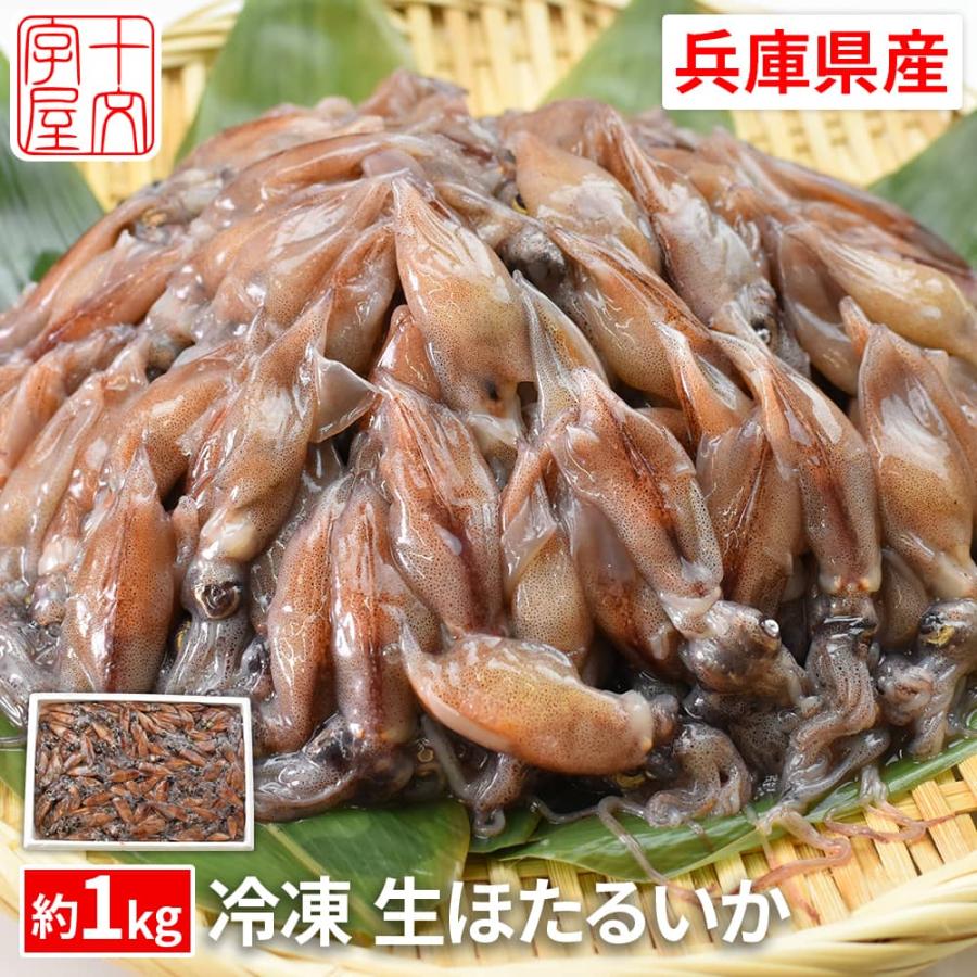 獲れたてのホタルイカを船上急速凍結 鮮度抜群 生食OK 日本海兵庫県産 ほたるいか 1kg以上 お刺身 釜茹で 沖漬け 生冷凍 業務用 大容量 釣り エサ 餌