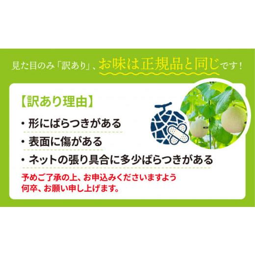 ふるさと納税 長崎県 小値賀町 ＜先行予約＞  タカミメロン  約5kg（3〜5玉） フルーツ 果物 国産 小値賀町／な…