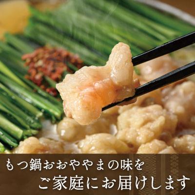 ふるさと納税 上毛町 博多もつ鍋おおやま　みそ・しょうゆ食べ比べセット2人前(合計4人前)