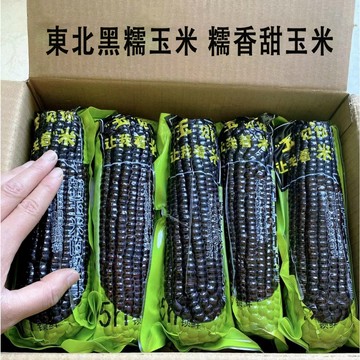 🔥24H出貨🔥東北黑糯玉米 黑甜玉米 低脂 即食玉米代餐 早餐粗糧 真空包裝 甜糯玉米 水果玉米 即食玉米棒段 免煮新鮮