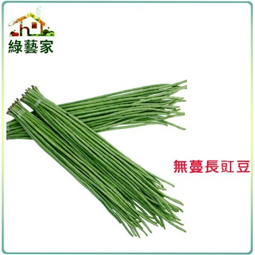 【綠藝家】大包裝E10.無蔓長豇豆(無蔓矮腳品種)種子120克