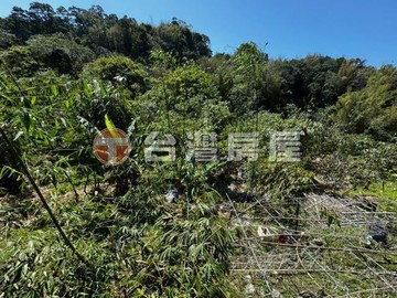 北屯收租竹筍農地附合法水權水井｜台中市北屯區臺中市大盛段