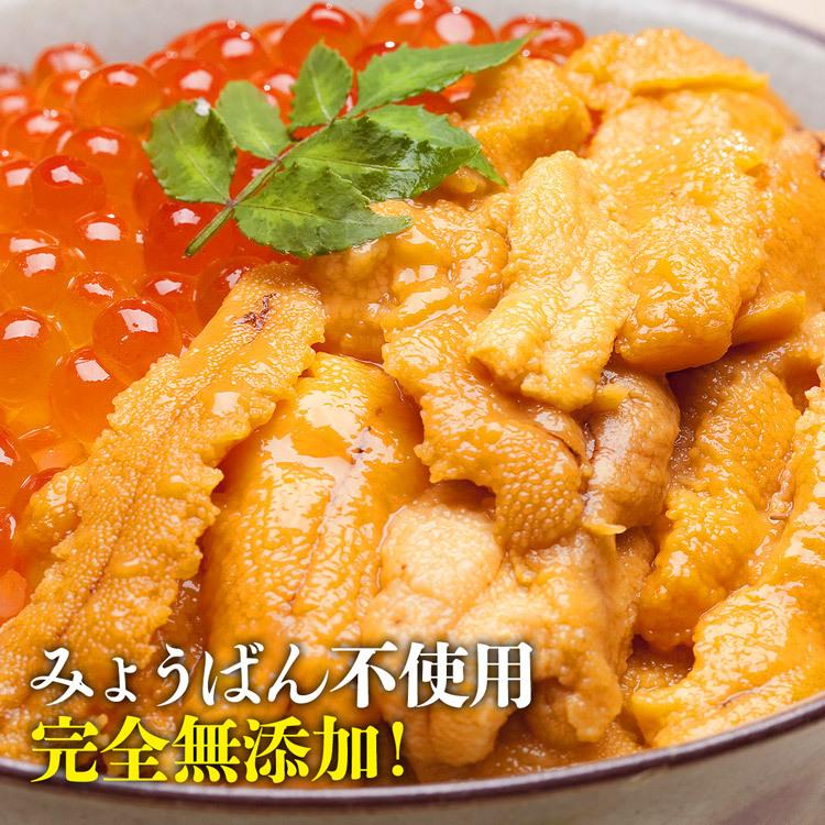 うに 無添加生うに 100g×3パック 究極Aグレード 生ウニ みょうばん不使用 完全無添加 お刺身 送料無料 優良配送 お歳暮 ギフト 10%クーポン