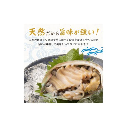 ふるさと納税 北海道 利尻町 利尻島産 天然蝦夷『活』アワビ500g※オンライン決済限定