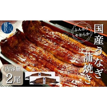 ふるさと納税 うなぎ蒲焼き　2尾入　国産　三河一色産 愛知県蟹江町