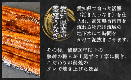 フジ物産 国産養殖うなぎ蒲焼き 約200g×2尾(愛知県産鰻) 鰻 ウナギ かばやき Bfb-0004