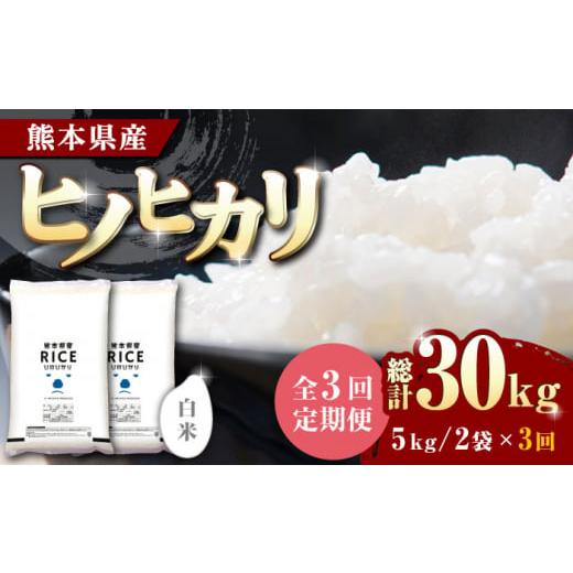 ふるさと納税 熊本県 山鹿市 ヒノヒカリ 白米 10kg 定期便 10kg 精米