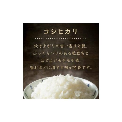 ふるさと納税 滋賀県 長浜市 令和5年 滋賀県湖北産 湖北のコシヒカリ 5kg(玄米)